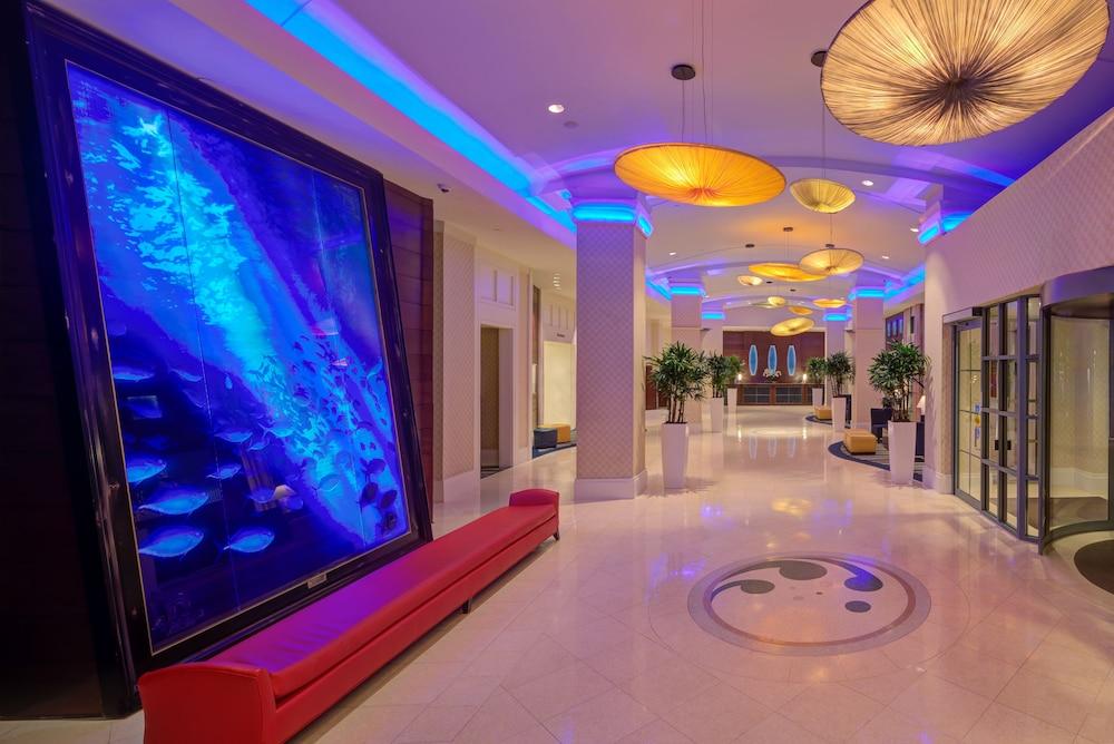 Hilton Virginia Beach Oceanfront photo 24