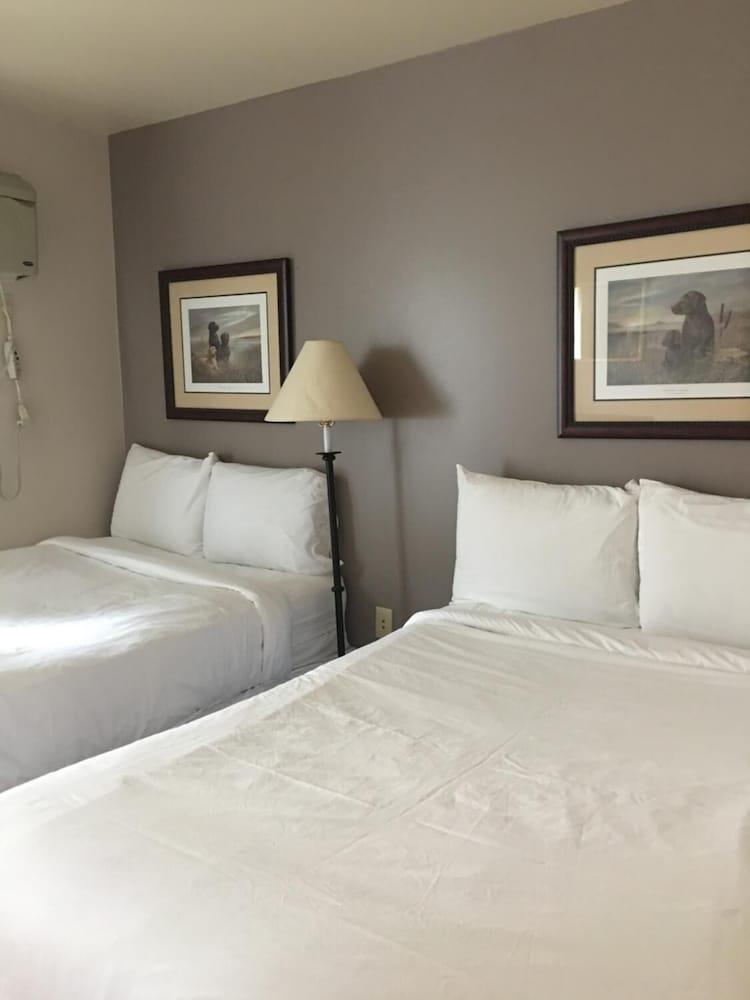 All Suites Inn Budget Host photo 7