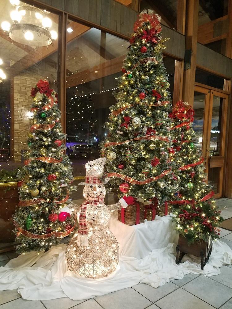 The Inn Of The Hills photo 27