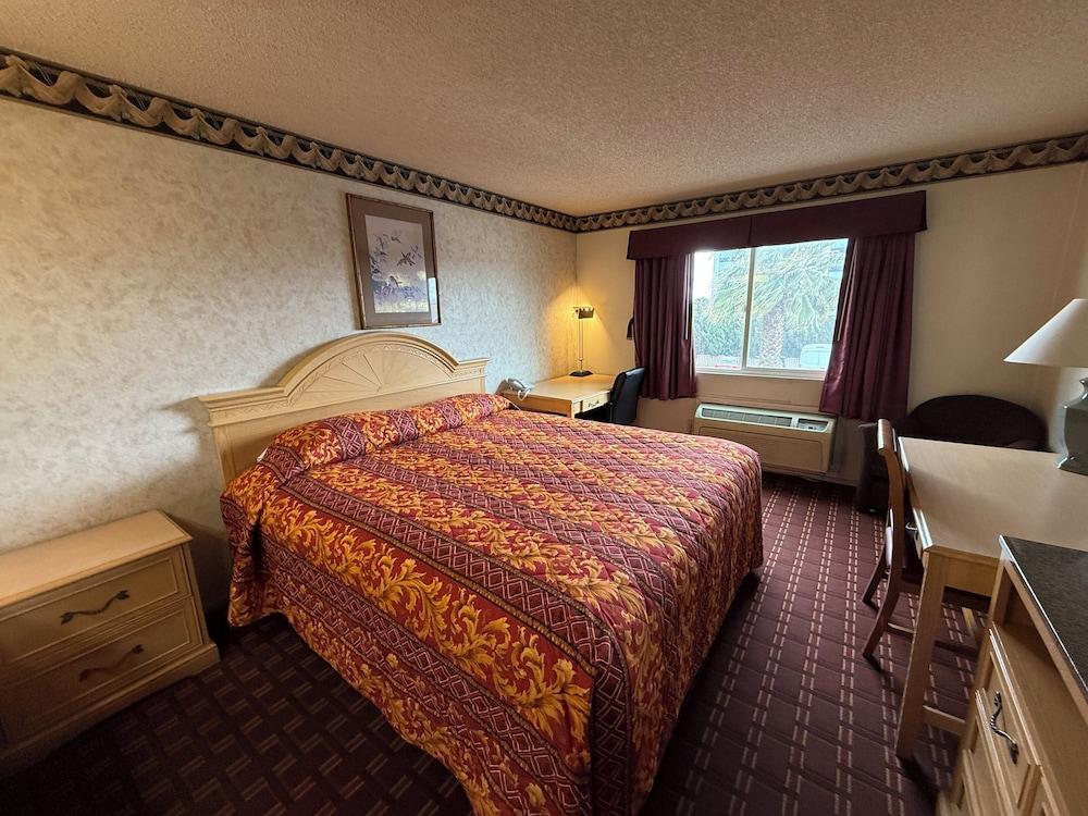 New Budget Inn photo 7