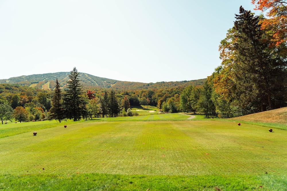 Vantage Point Villas at Stratton Mountain Resort photo 17