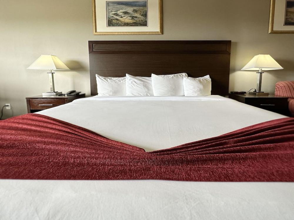 BayVue Hotel, Resort and Suites photo 31