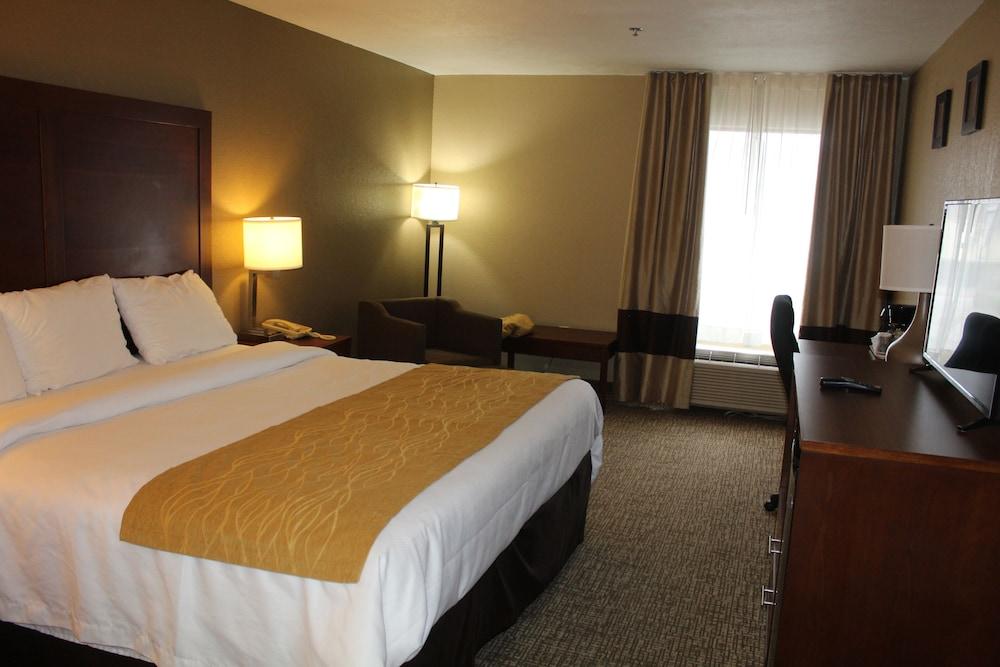 Bristol Arcadia Inn photo 17