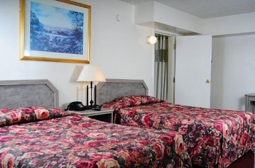Amber Inn photo 8