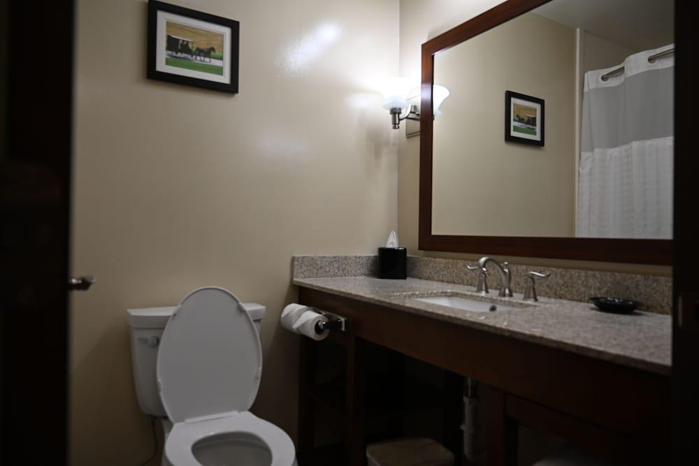 Giles Hotel Inn & Suites photo 22