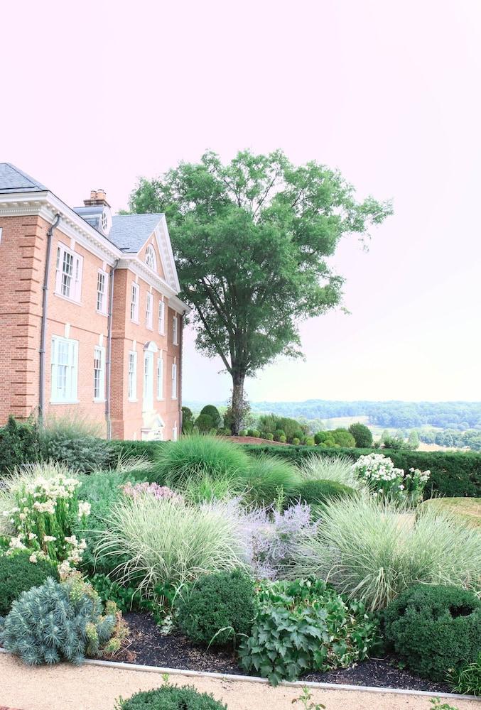 Albemarle Estate at Trump Winery photo 6