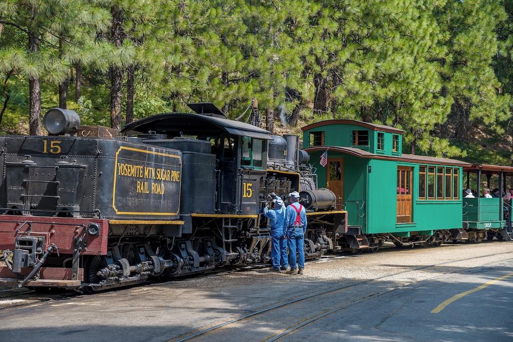 Tenaya at Yosemite photo 44