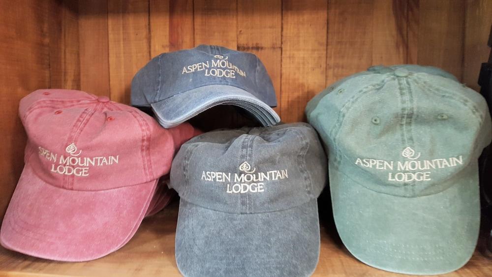 Aspen Mountain Lodge photo 9