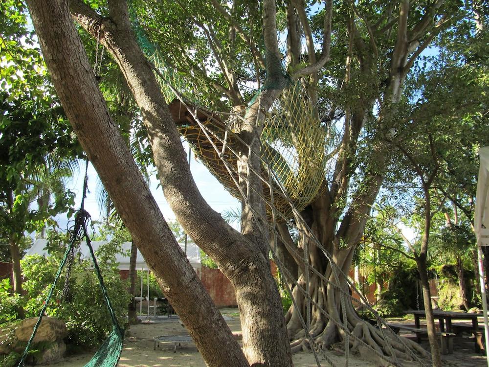 Hoosville Hostel photo 30