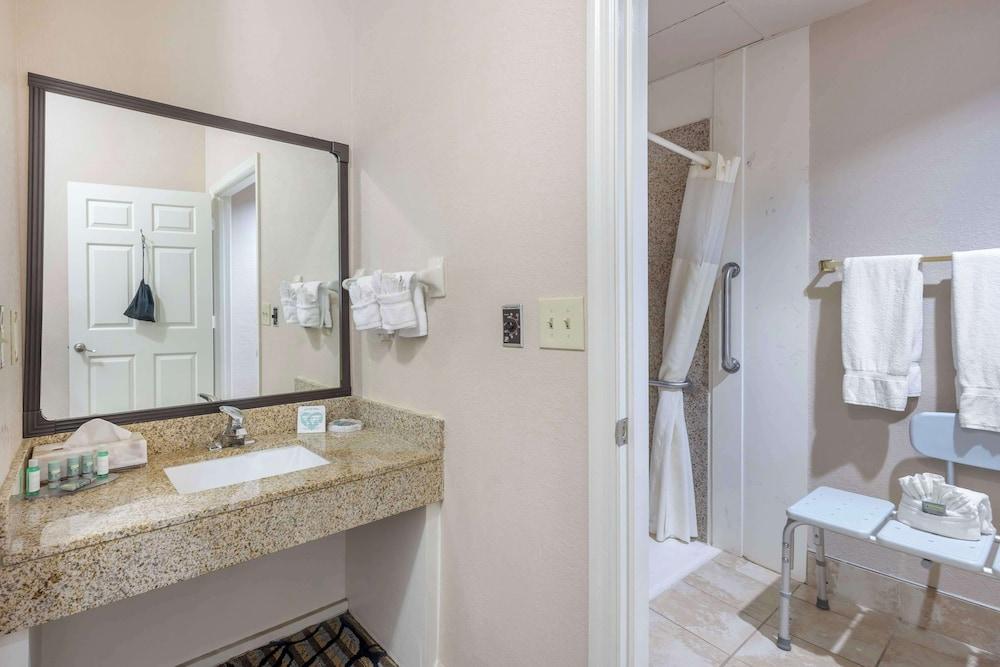Best Western Spring Hill Inn & Suites photo 19