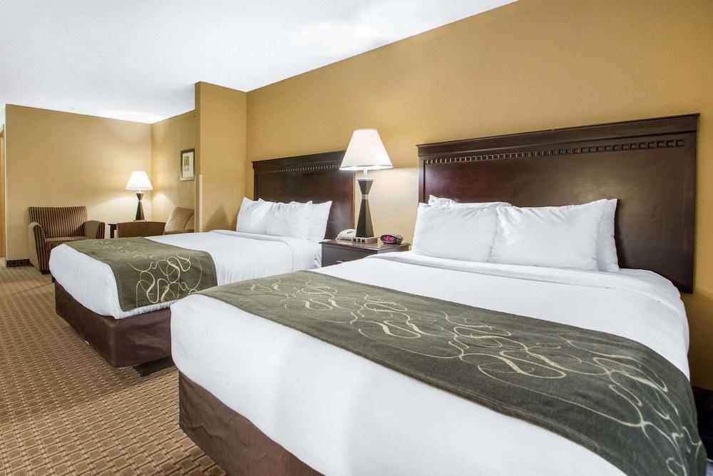 Comfort Suites Wisconsin Dells Area photo 48