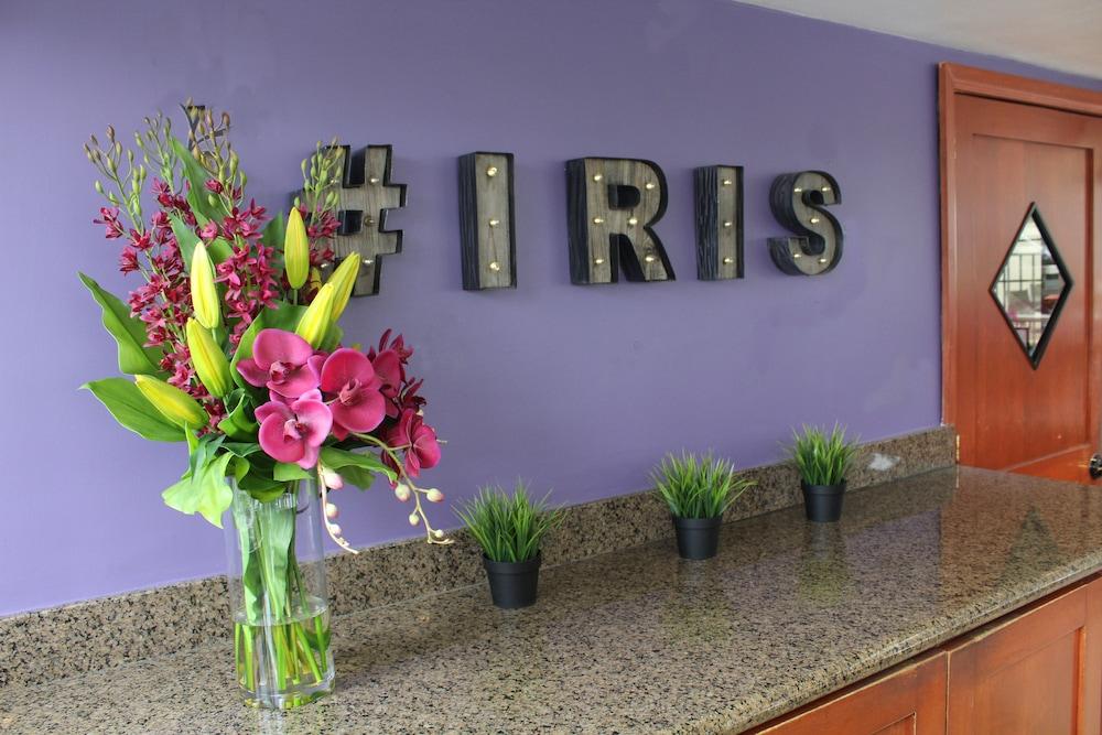 Hotel Iris - San Diego photo 3