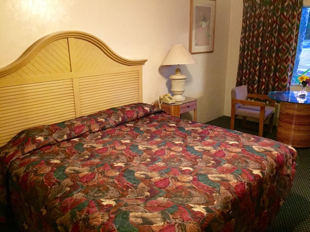 Cadillac Motel Fanning Springs photo 22
