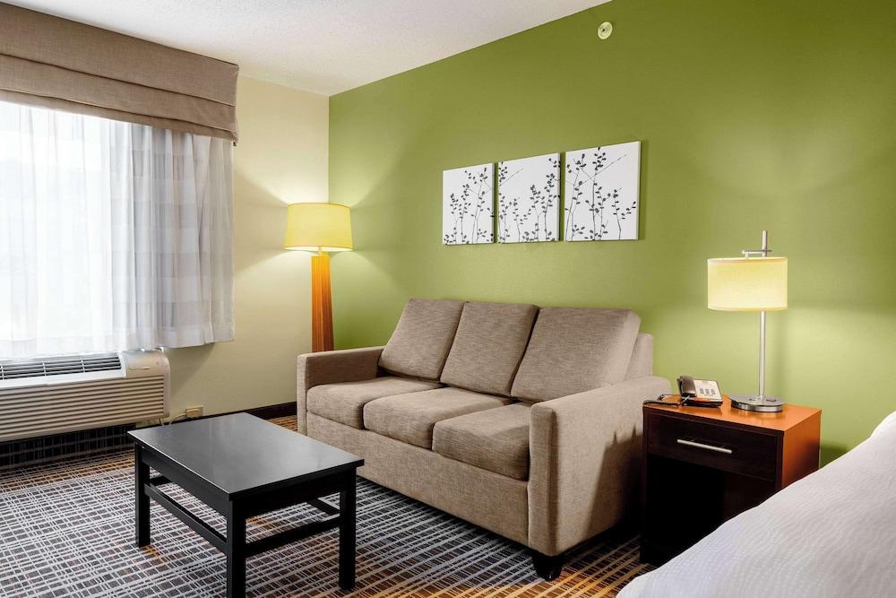 Sleep Inn And Suites photo 15