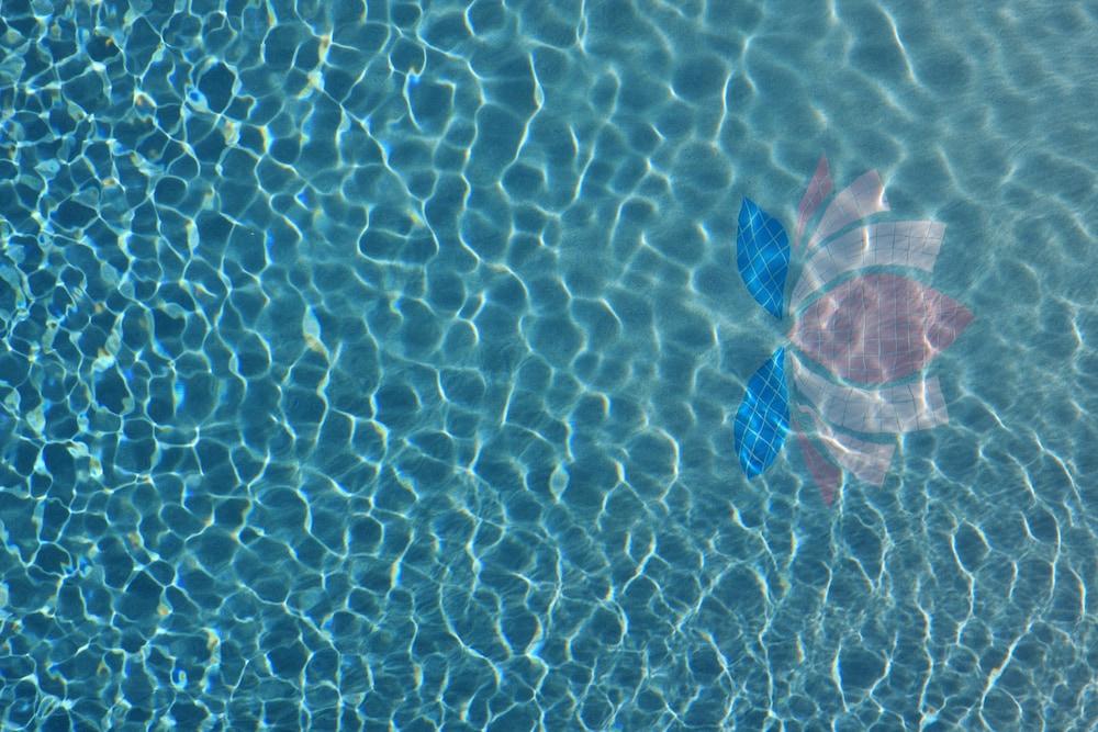 Lotus Inn photo 18