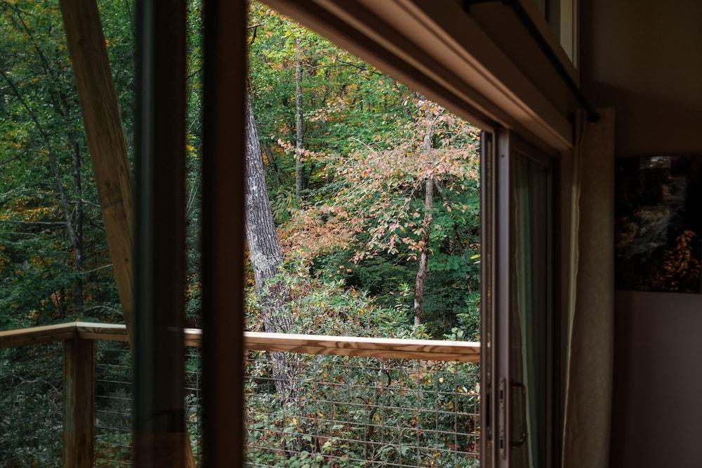 Pilot Cove Forest Lodging photo 20