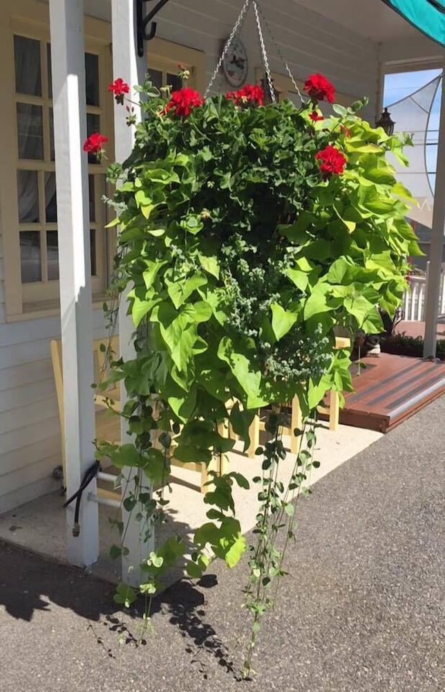 Mount Battie Inn photo 44