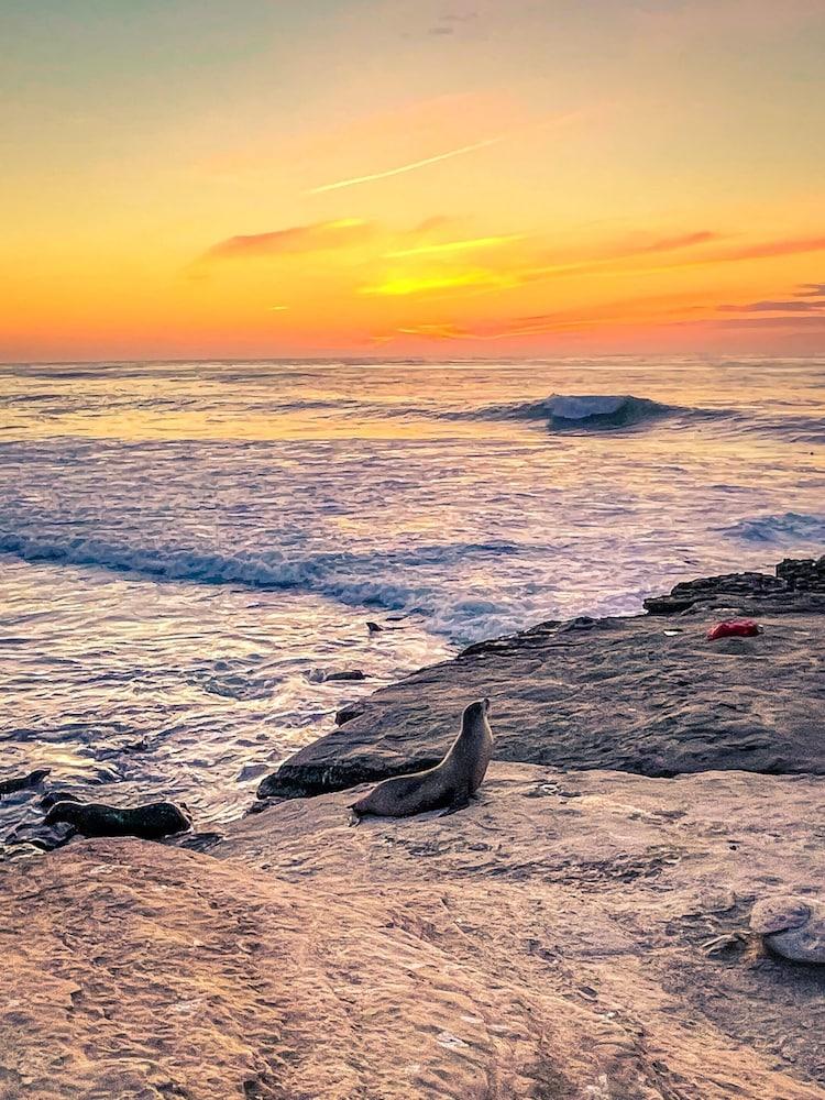 La Jolla Beach and Tennis Club photo 21