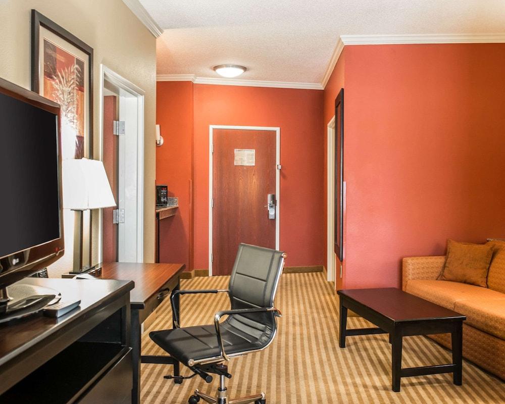 Comfort Suites photo 21