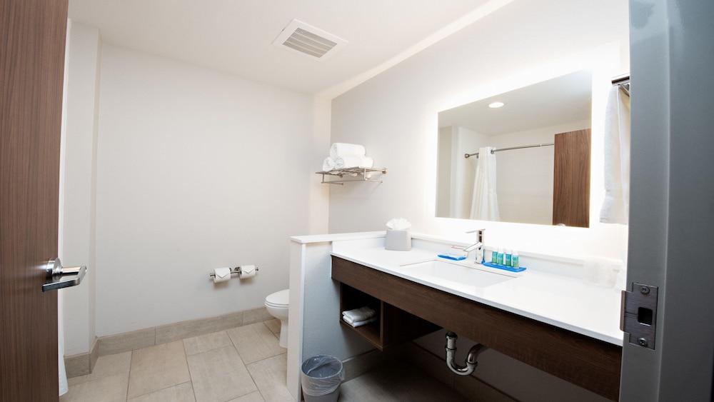 Holiday Inn Express & Suites Houston SW - Galleria Area by IHG photo 11