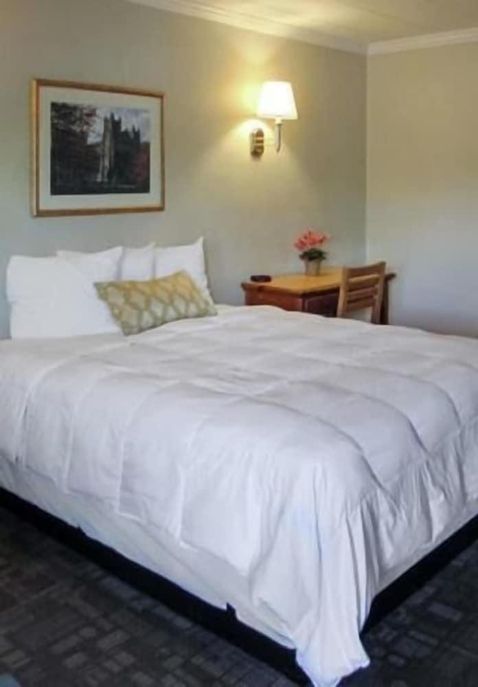 The University Inn Ann Arbor photo 15