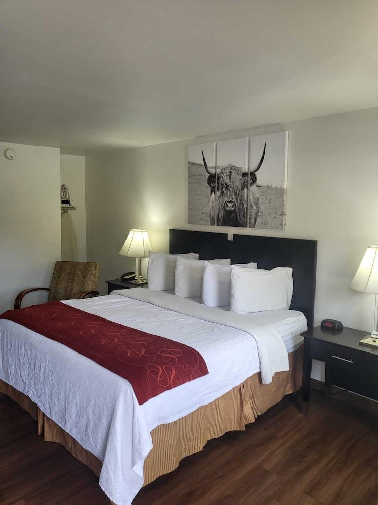 Pine Tree Inn photo 34