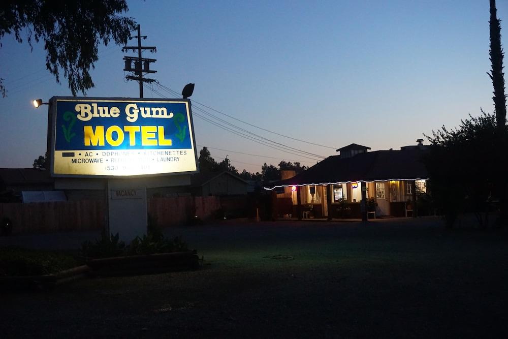 Blue Gum Motel photo 29