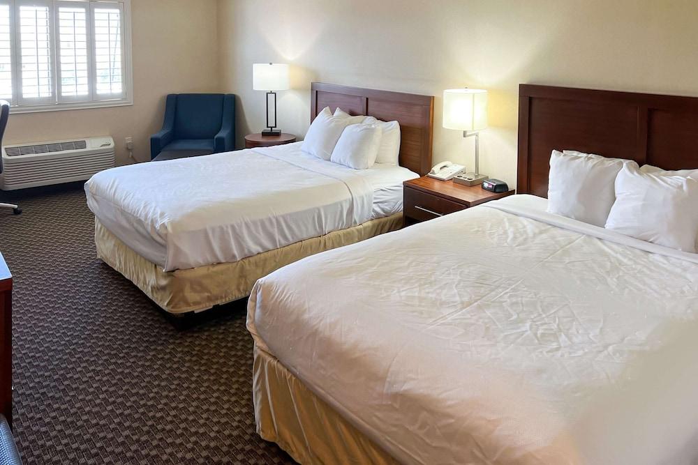 Comfort Inn & Suites Thatcher - Safford photo 6