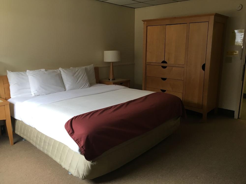 The Montrose Hotel photo 2