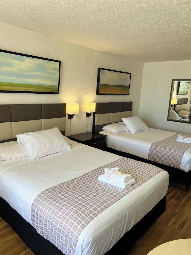 Flamingo Inn Beachfront photo 16