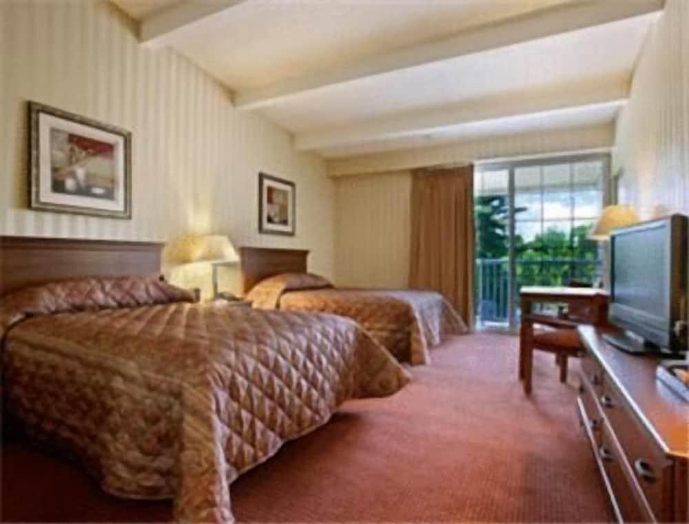 HomeSpring Inn & Studios photo 10