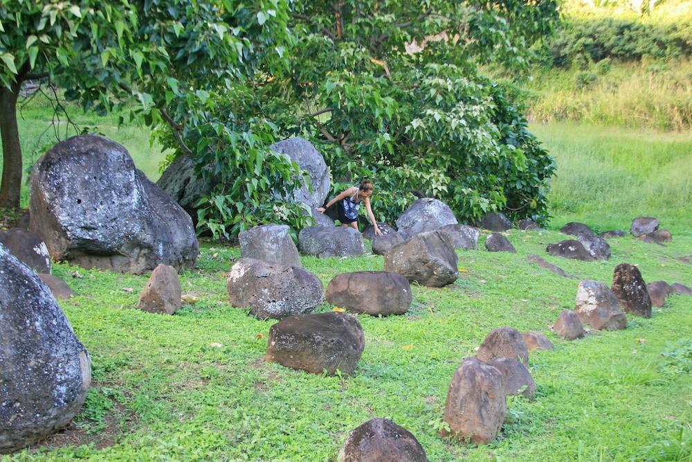 Hawaii Island Retreat photo 81