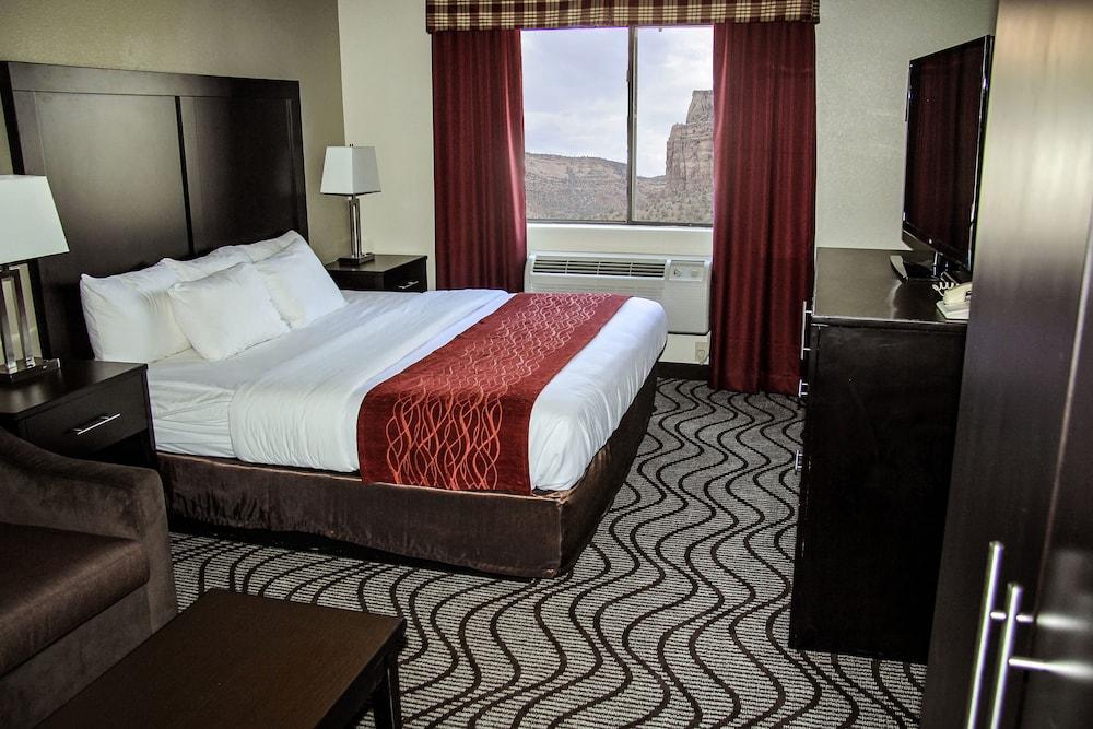 Comfort Inn & Suites Fruita - Grand Junction photo 4