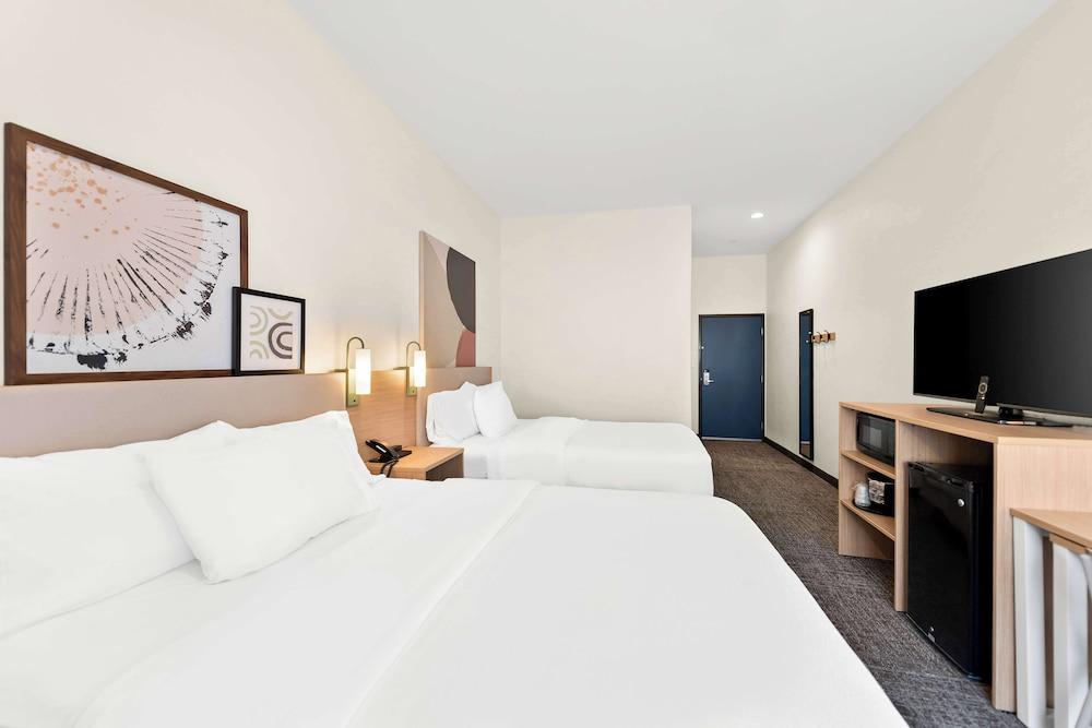 Spark by Hilton Mansfield photo 5