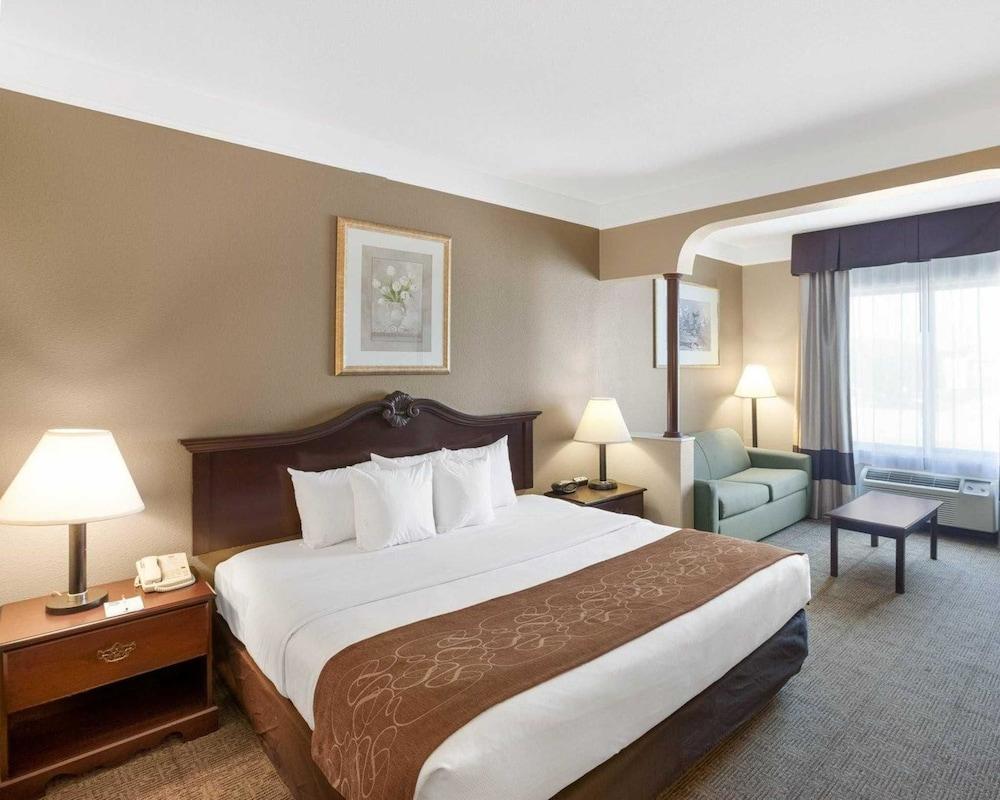 Comfort Suites Plainview photo 3