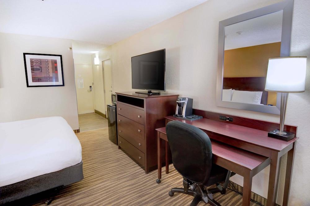 Holiday Inn St Petersburg N - Clearwater by IHG photo 15