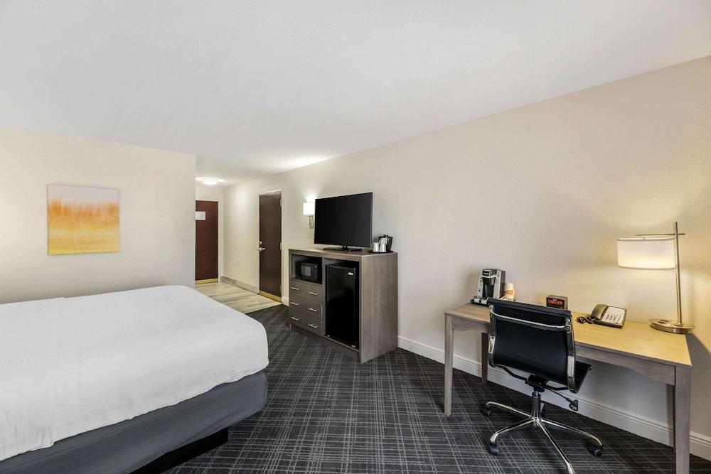 Comfort Inn & Suites Andrews photo 5
