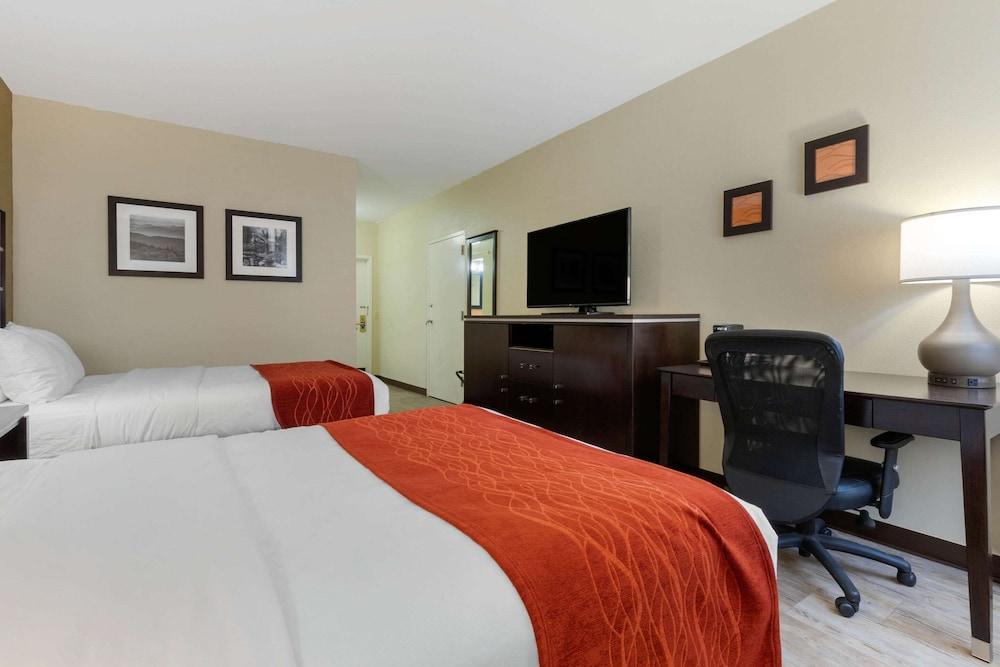 Comfort Inn North of Asheville photo 21