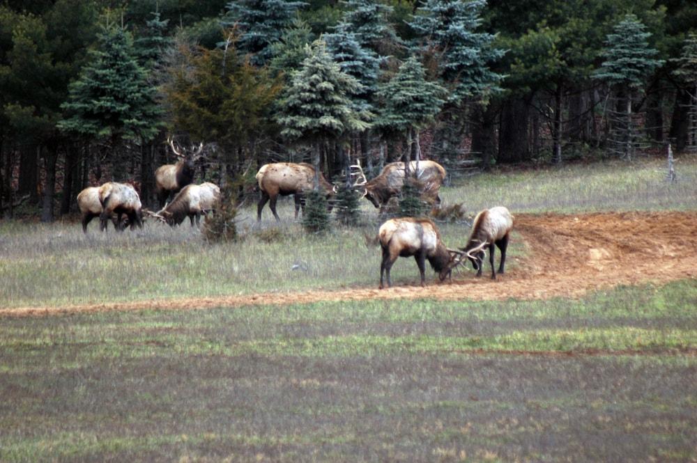 Edenwood Ranch Private SQ MILE photo 4