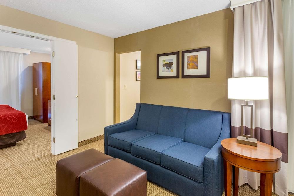 Comfort Suites Oakbrook Terrace near Oakbrook Center photo 14