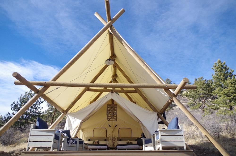 Black Tree Resort - The Lodge photo 5
