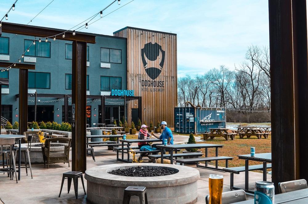 DogHouse Columbus photo 22