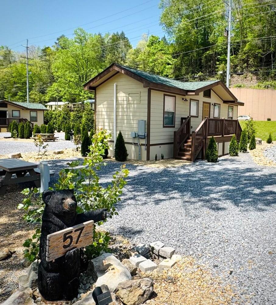 Dudley Creek RV Resort photo 51