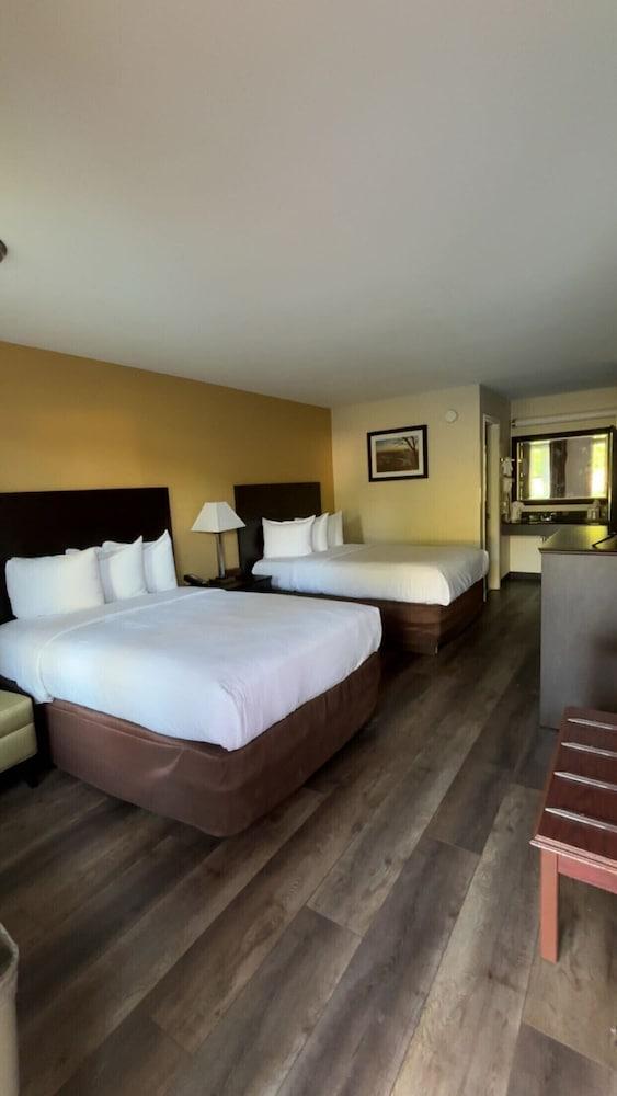 Arab Knights Inn photo 5