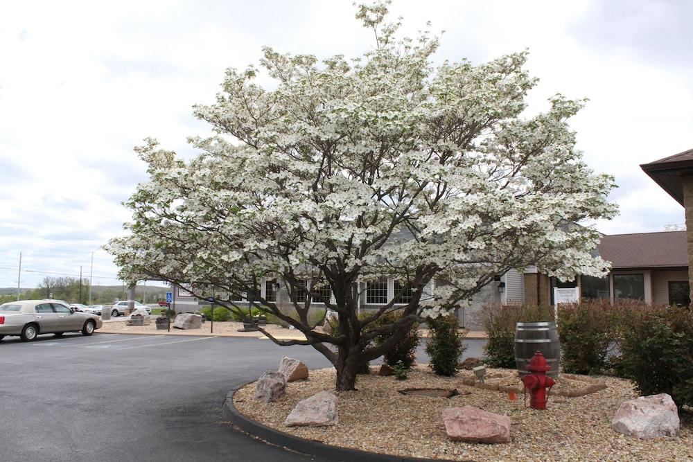 Baymont Inn and Suites by Wyndham Farmington, MO photo 52