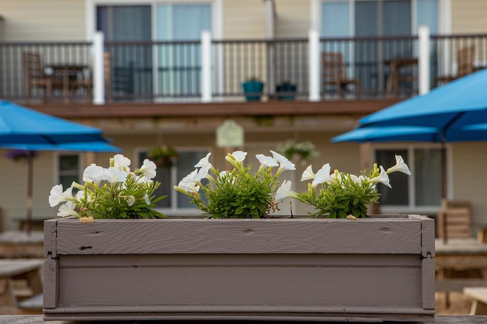 Aqualina Inn Montauk photo 76