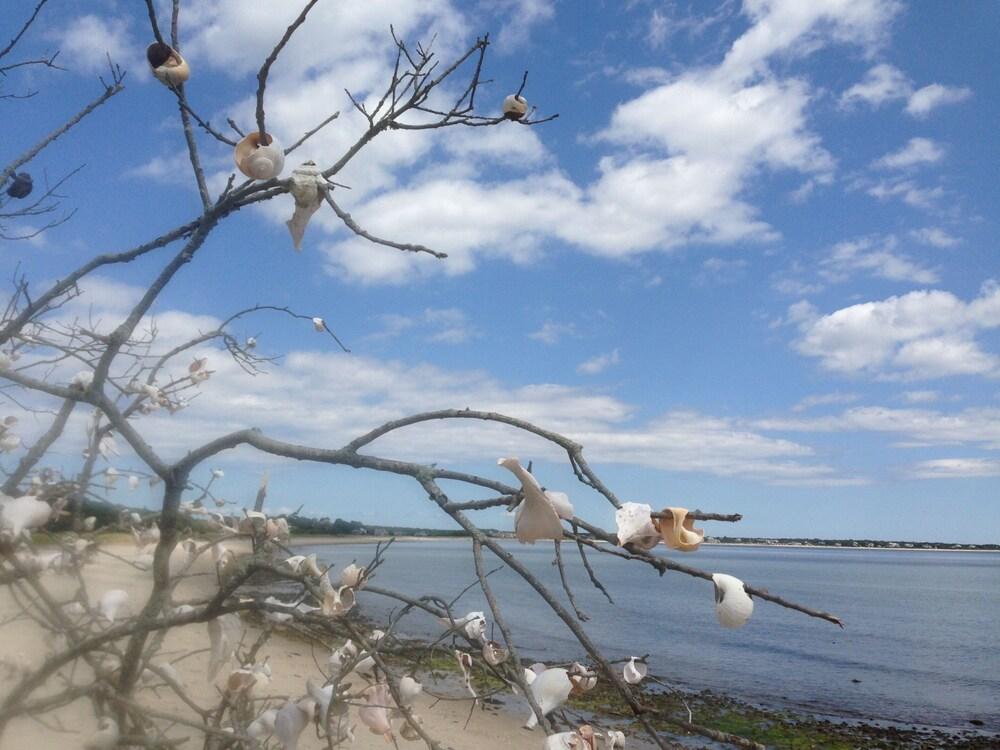 The Ocean View photo 46