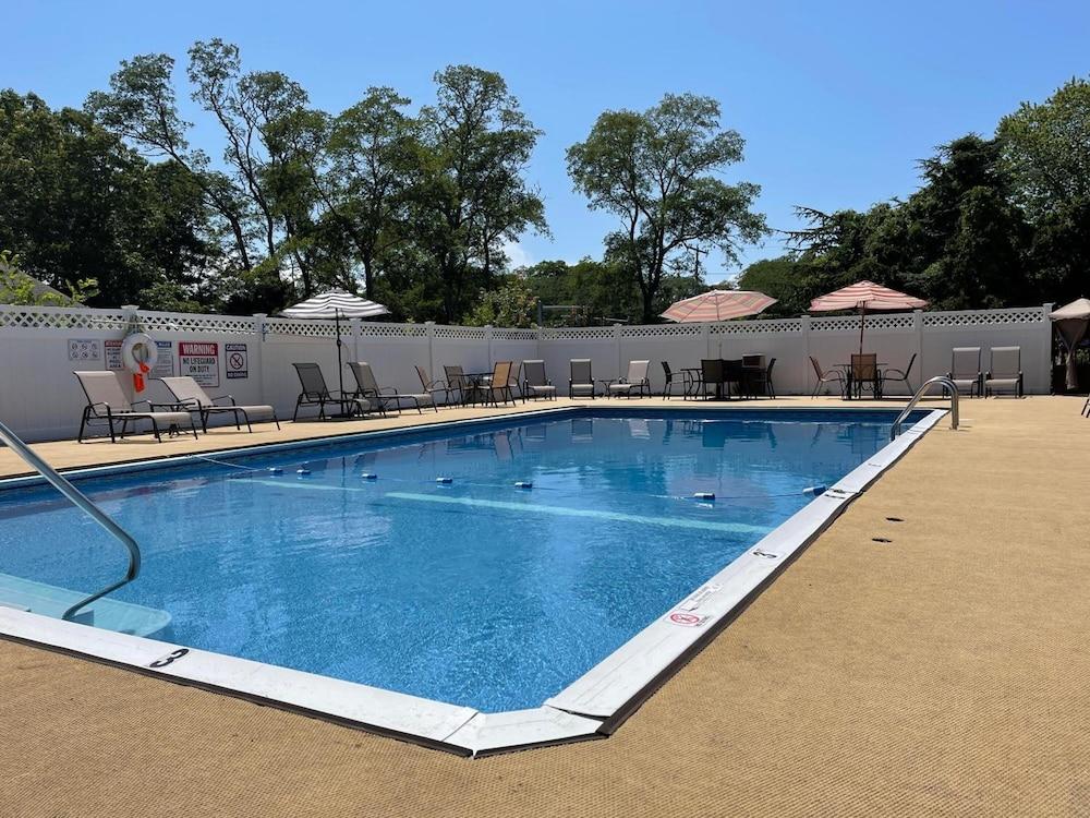 Viking Shores Motor Inn photo 15