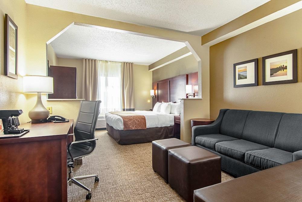 Comfort Suites Knoxville Airport photo 53
