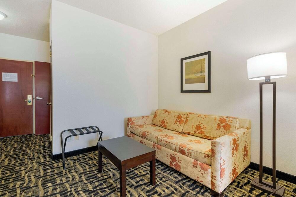 Spark by Hilton La Grange photo 11